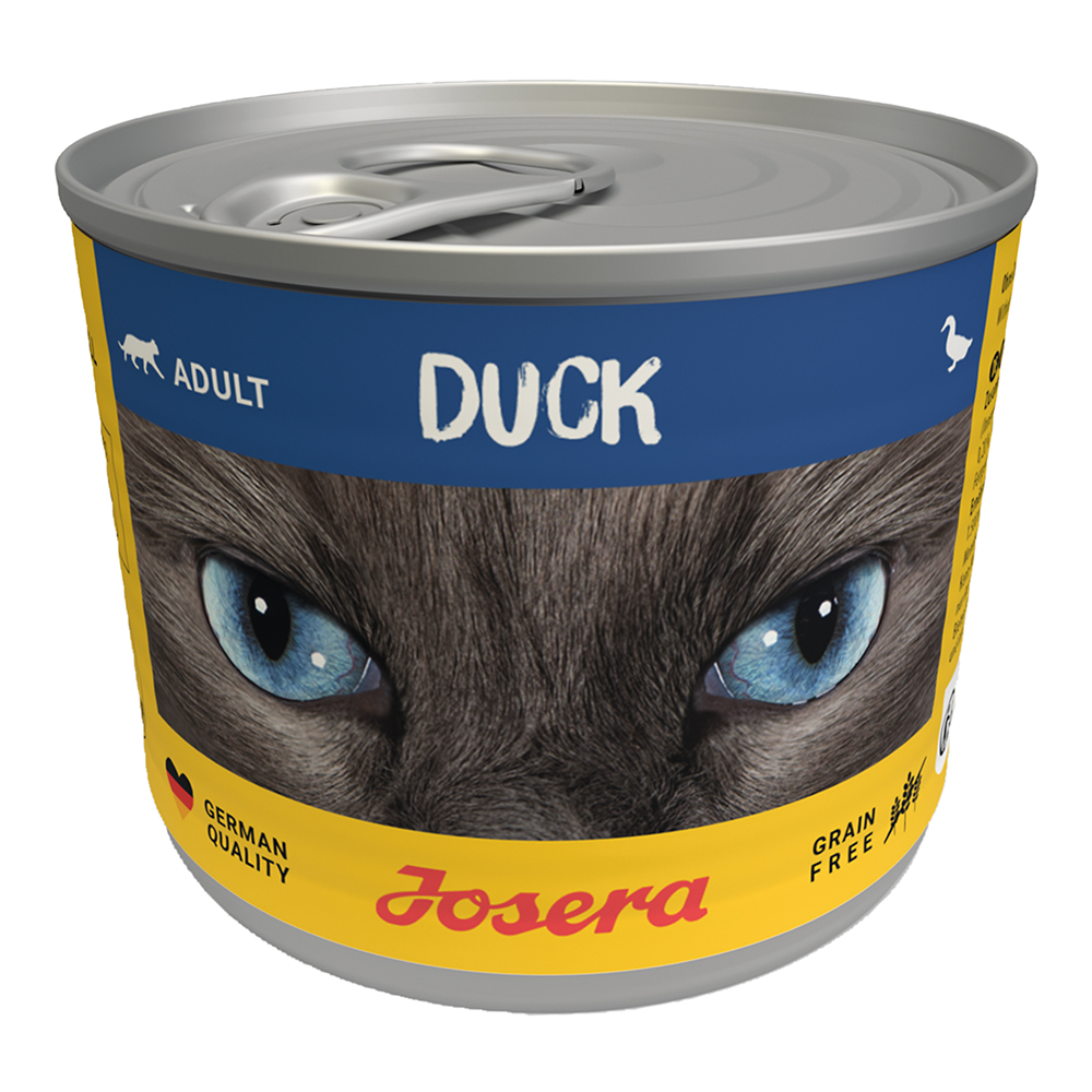 Cat Duck