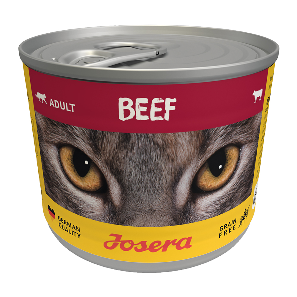Cat Beef