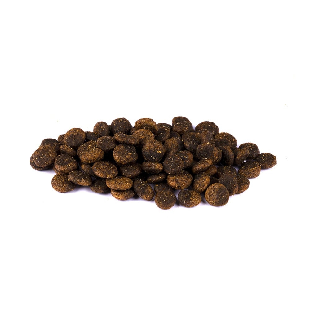 Allco Christopherus - Getreidefrei Lamm & Kartoffel Welpe - 4 x 1,5kg - 2