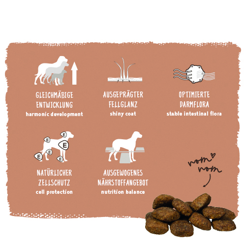 Bosch - Adult Maxi - 1 x 3 kg - 9