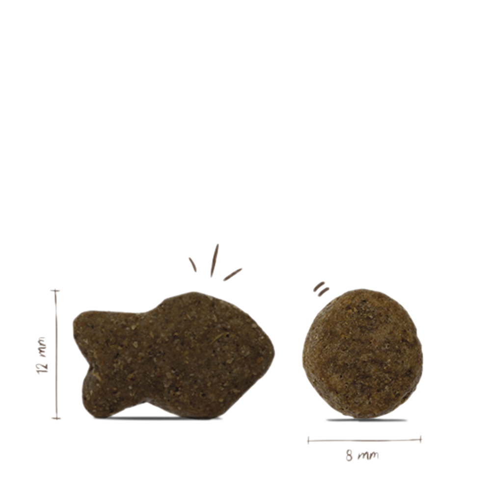Adult Fisch & Kartoffel