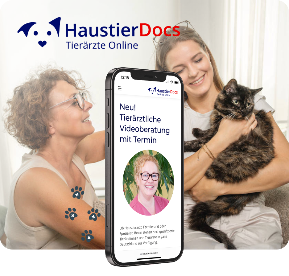 haustierdocs-szene-beratung-zwei-frauen-mit-katze haustierdocs-szene-beratung-zwei-frauen-mit-katze