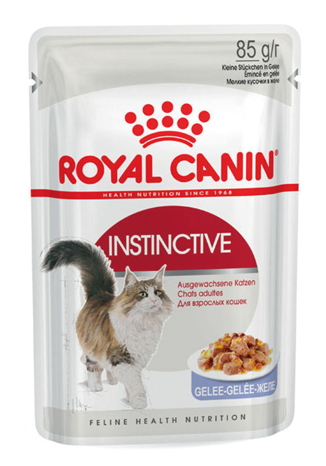 FHN Instinctive Jelly