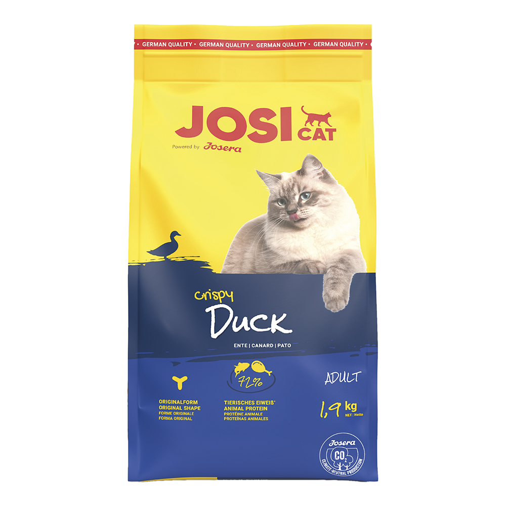 Crispy Duck