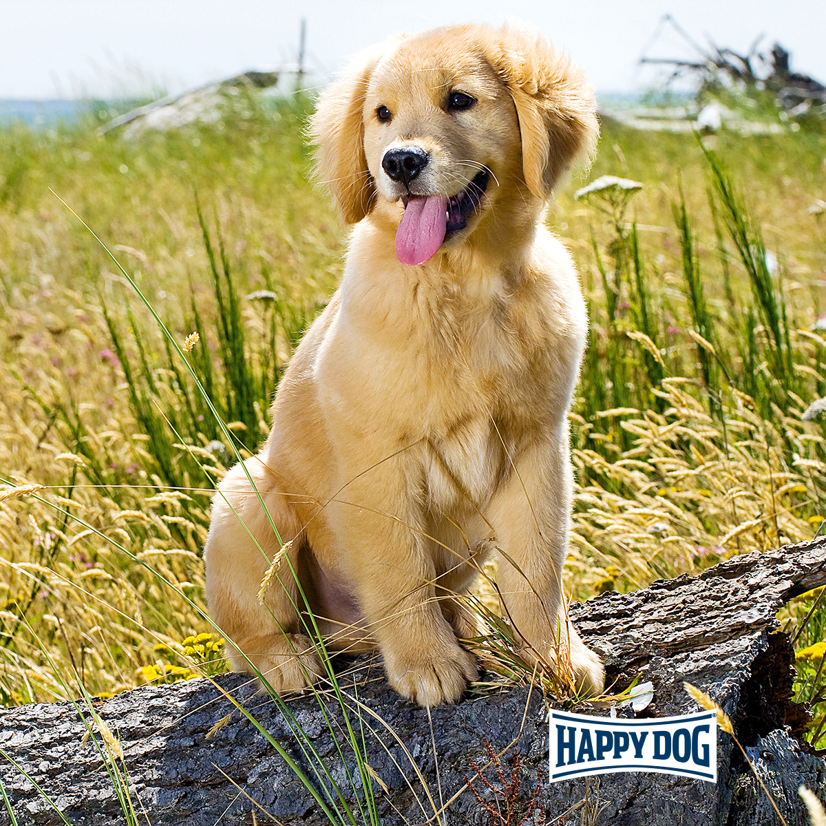 Happy Dog - NaturCroq Junior - 5