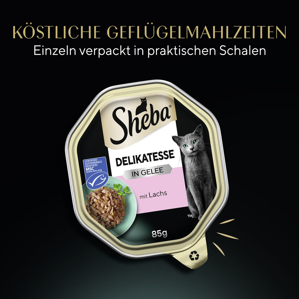 Sheba - Delikatesse Gelee Lachs-Geschnetzeltes - 22 x 85 g - 3