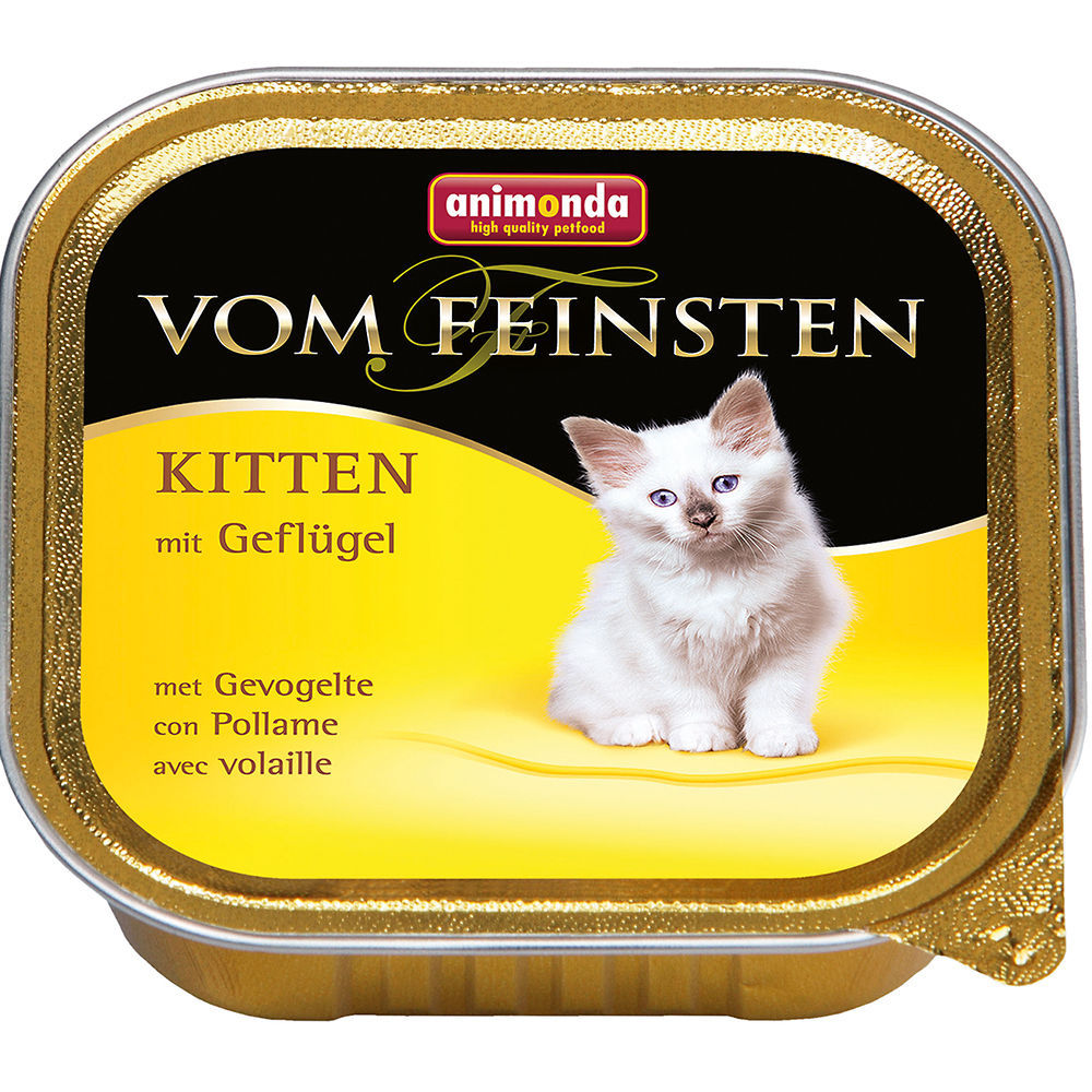 Kitten mit Geflügel