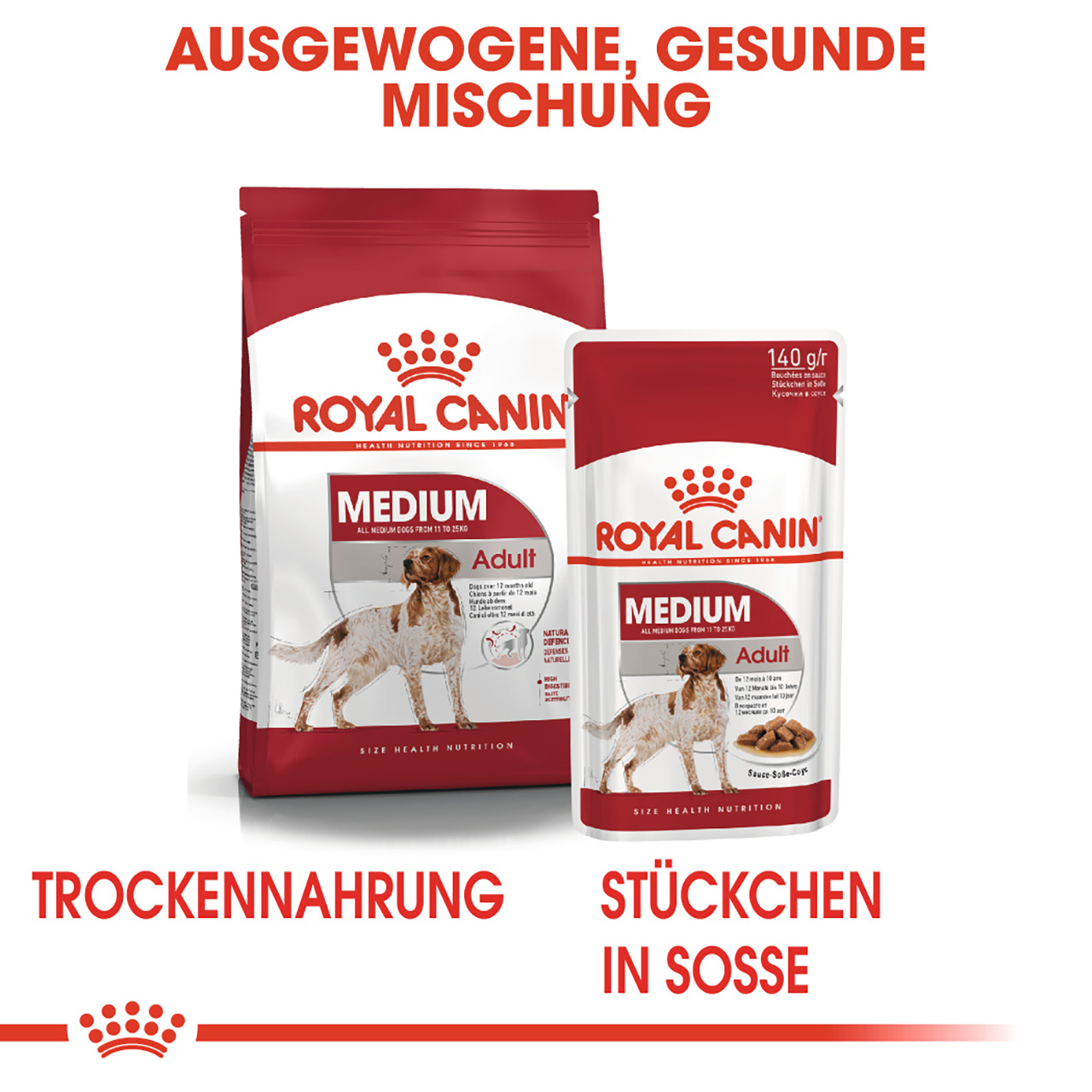 Royal Canin - SHN Medium Adult - 1 x 4kg - 5