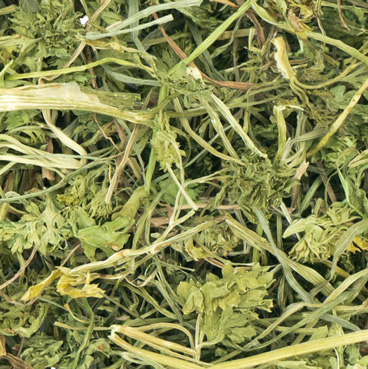 JR Farm - Petersilien-Salat - 6 x 50 g - 2