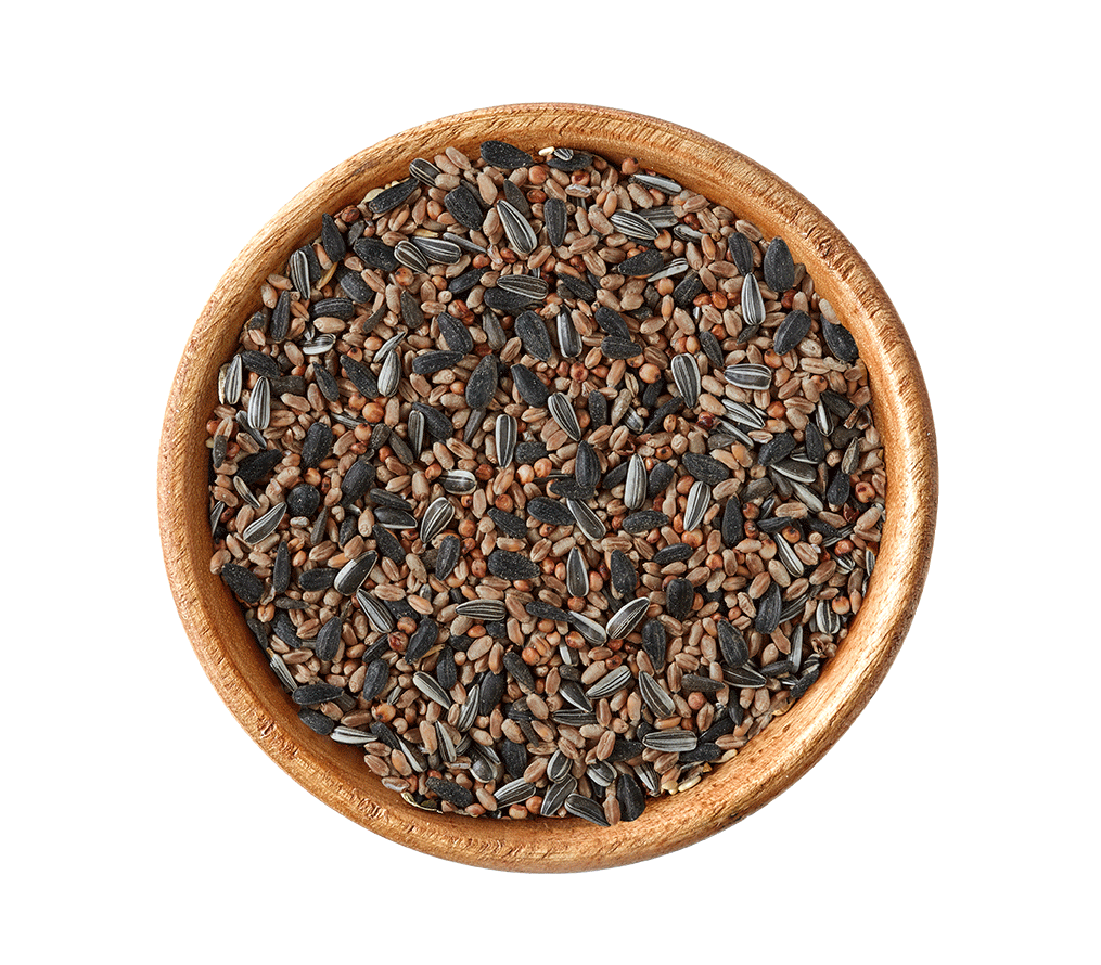 elles-Streuftter-in-Schale elles-Streufutter-in-Schale