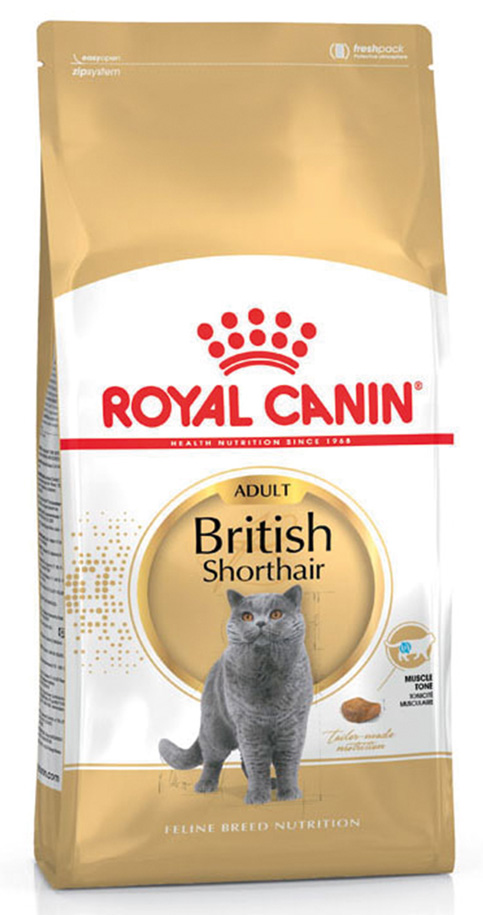 FBN British Shorthair Adult