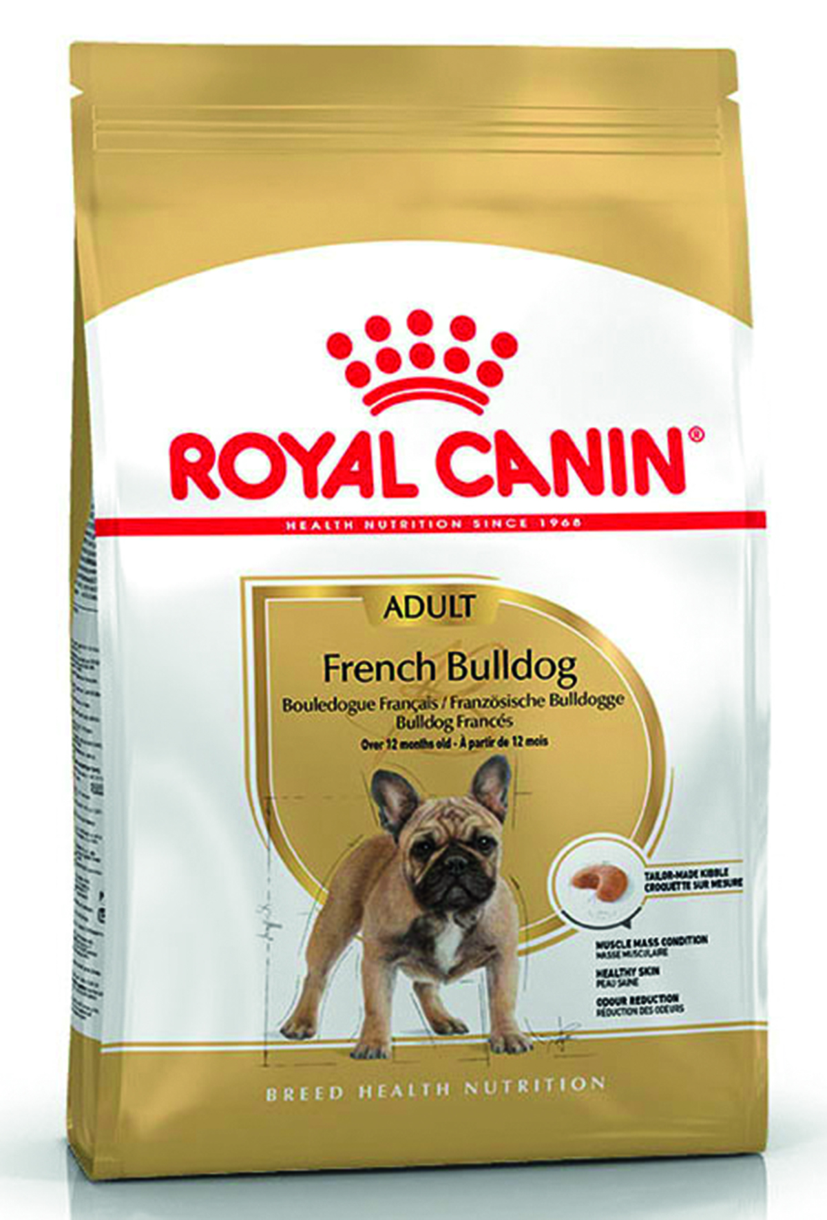 BHN French Bulldog Adult