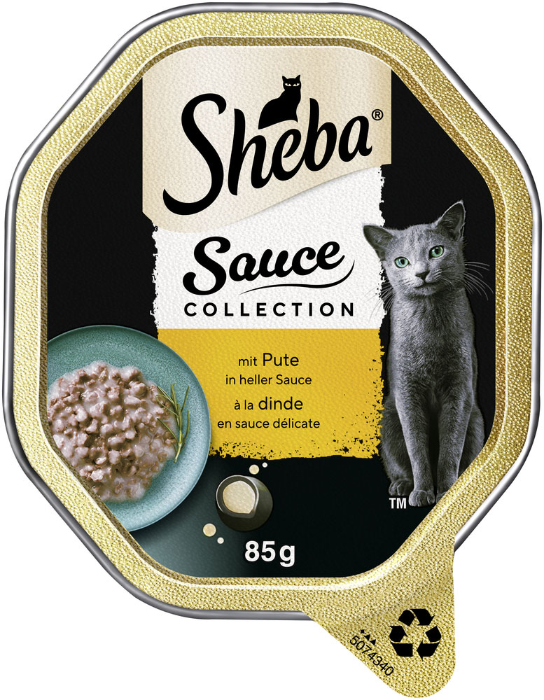 Sauce Collection mit Pute in heller Sauce
