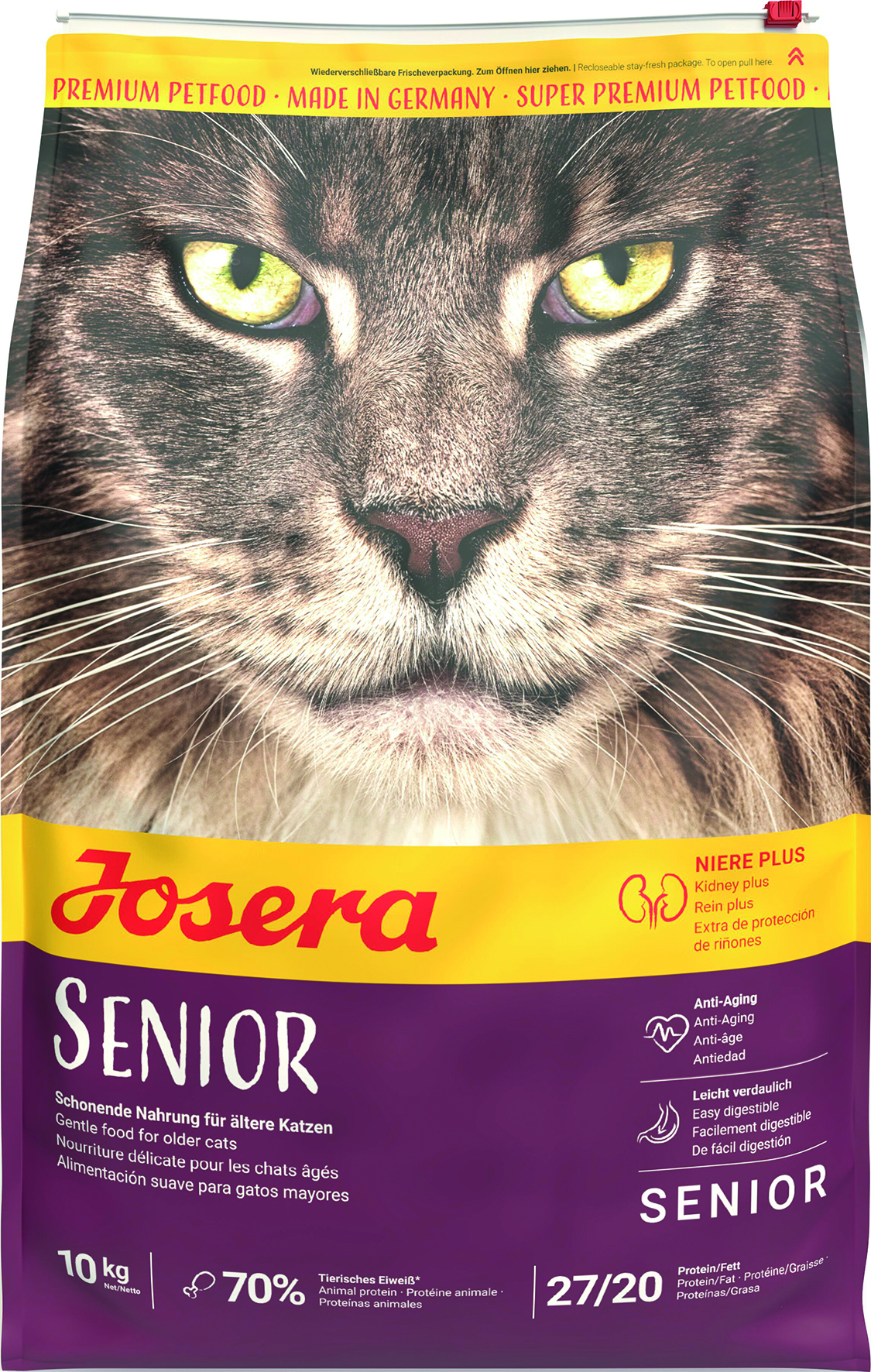 Katze Senior