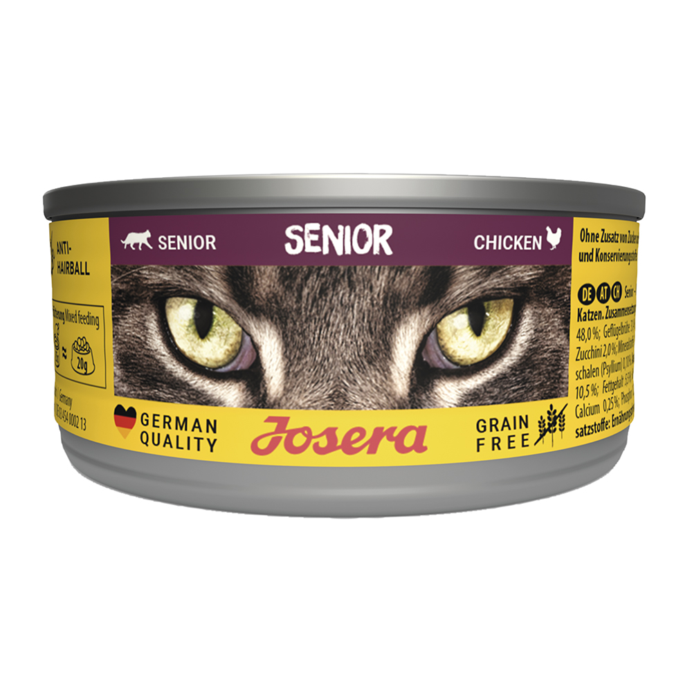 Cat Senior