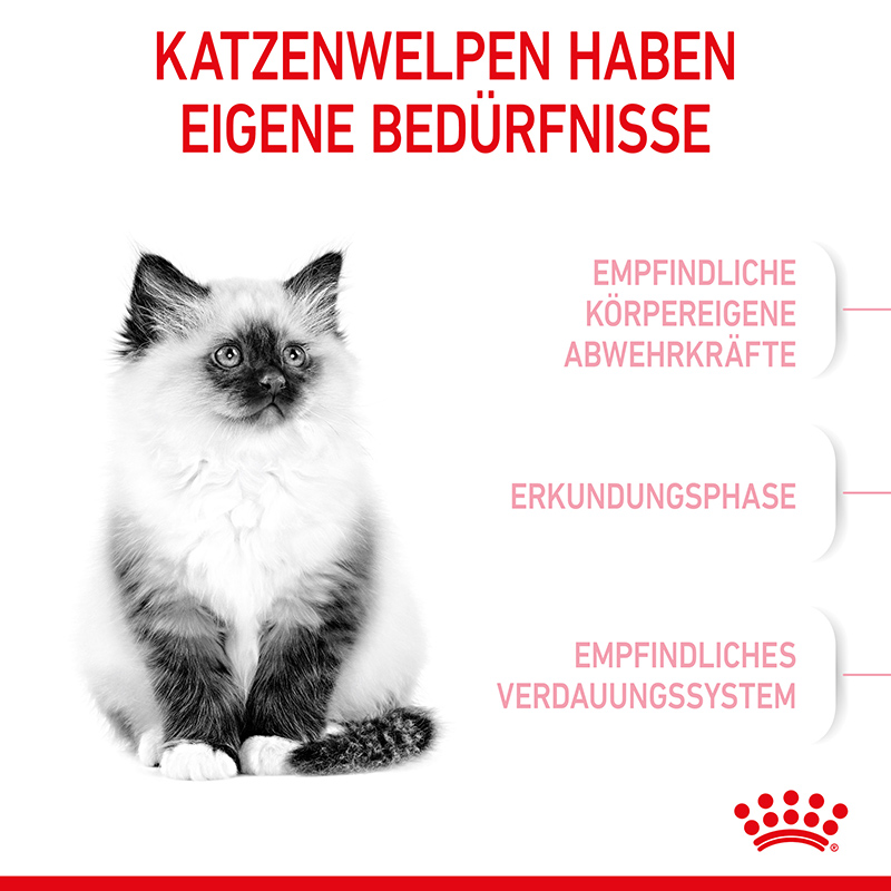 Royal Canin - FHN Kitten - 1 x 0,4kg - 4