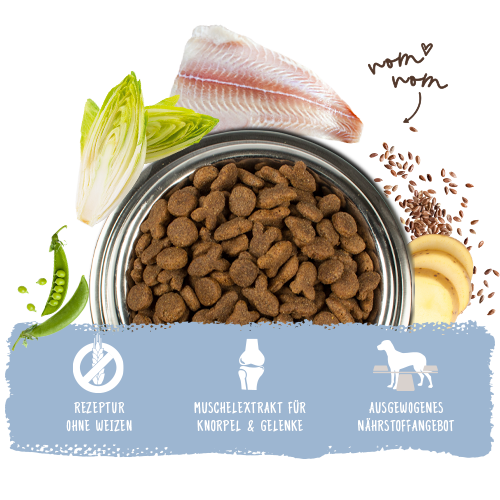 Bosch - Adult Fisch & Kartoffel - 1 x 15kg - 6