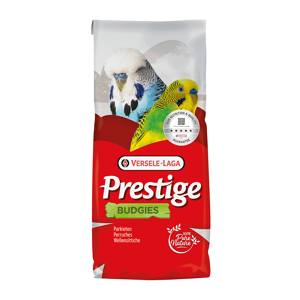 Prestige Wellensittiche