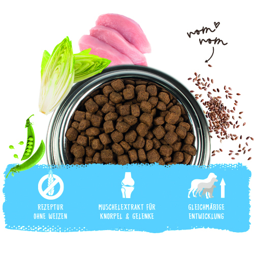 Bosch - Medium Junior - 5 x 1 kg - 11