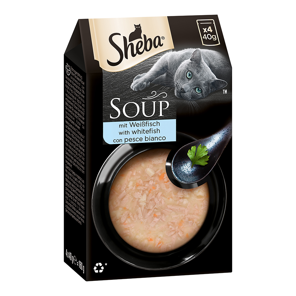 Multipack Soup mit Weißfisch