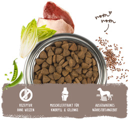 Bosch - Adult Ente & Reis - 1 x 1 kg - 4