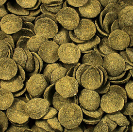 JR Farm - Kleesamen-Taler - 1 x 200 g - 2