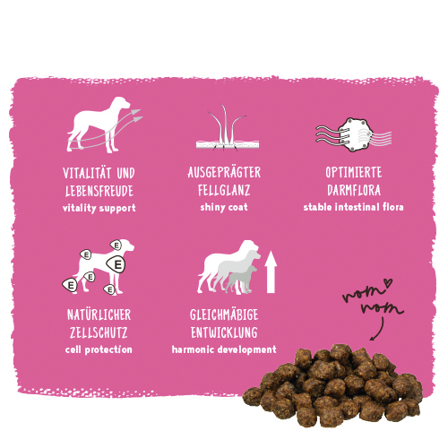 Bosch - Mini Adult Lamm&Reis - 5 x 1000 g - 7