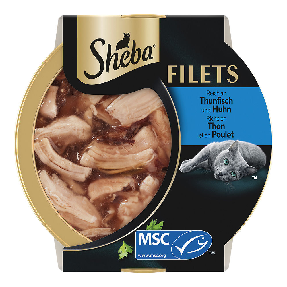 Filets mit Huhn & Thunfisch