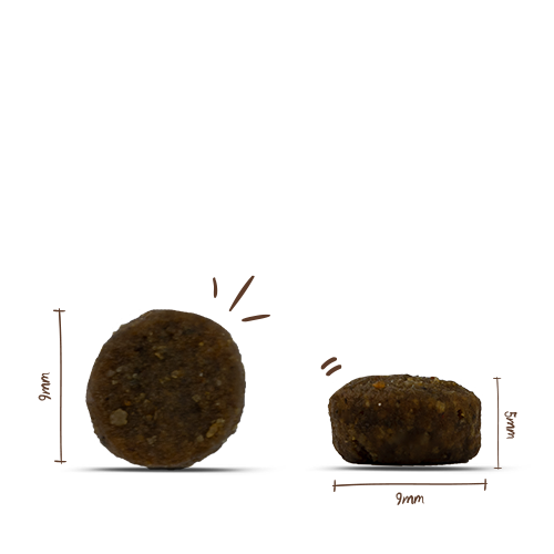 Sanabelle - Sensitive Lamm - 1 x 2kg - 2