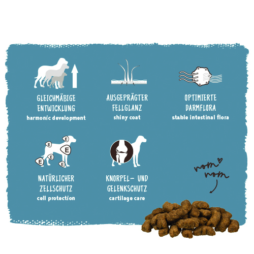 Bosch - Maxi Junior - 5 x 1000 g - 14