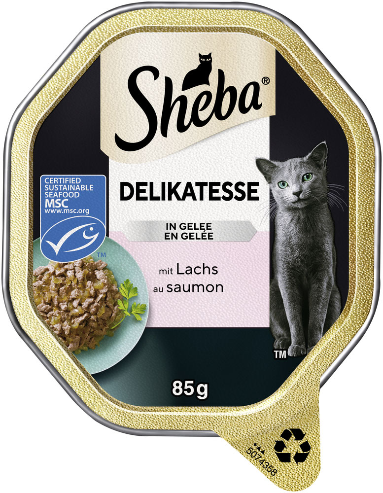 Delikatesse Gelee Lachs-Geschnetzeltes
