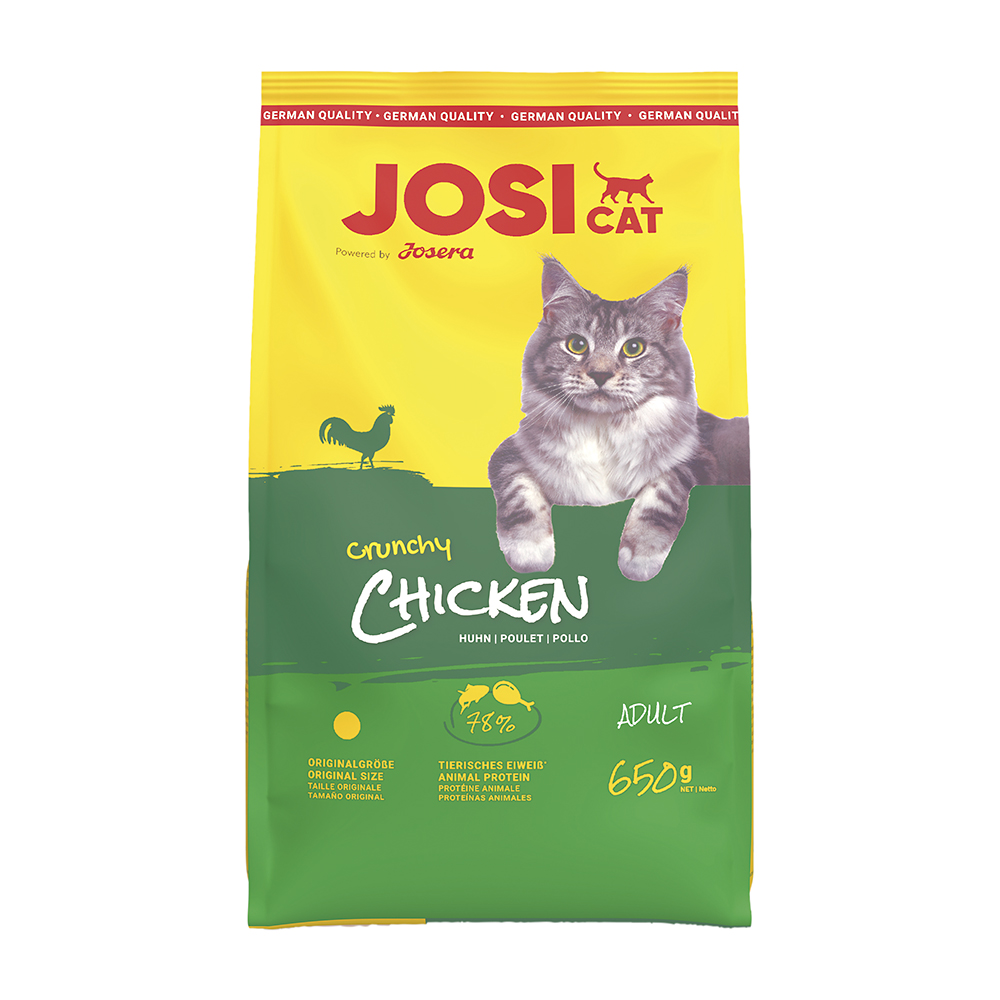 Crunchy Chicken