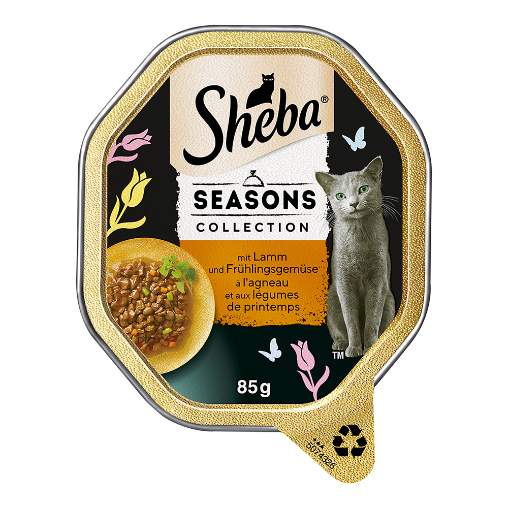 Sheba - Seasons Collection - 1