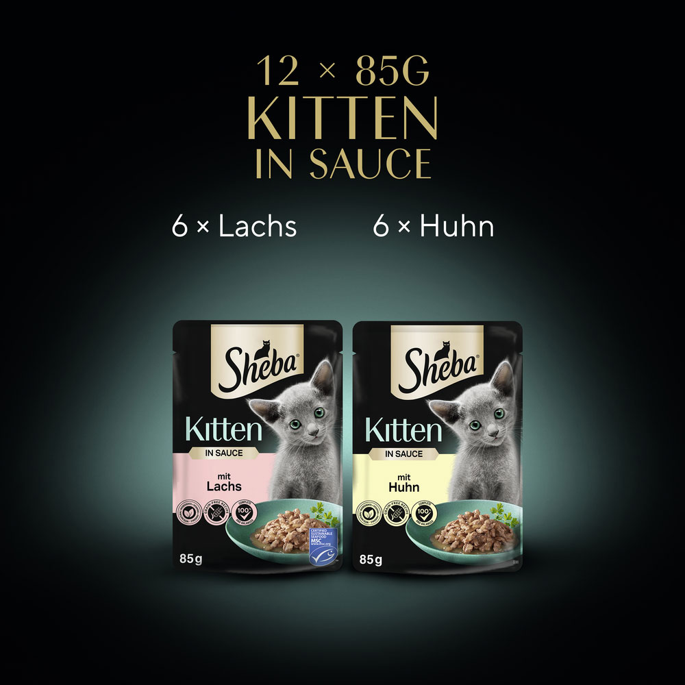 Sheba - Multipack Kitten Feine Vielfalt in Sauce - 4 x 1020g - 6
