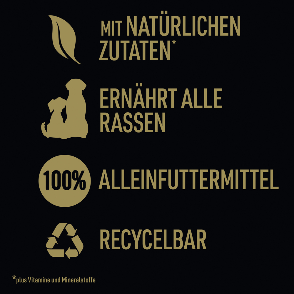 Cesar - Goodness MP Casserole mit Huhn, Fisch, Rind, getreidefrei - 1 x 24X100g - 5