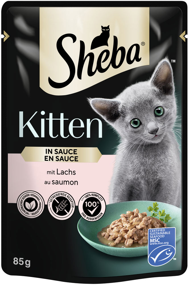 Kitten mit Lachs in Sauce
