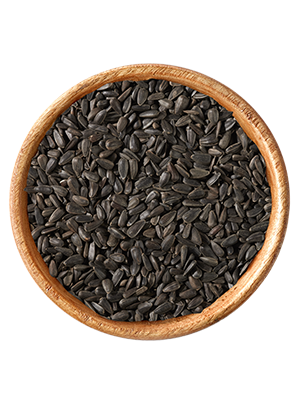 Sonnenblumenkerne schwarz