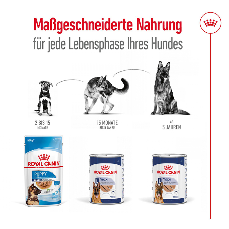Royal Canin - SHN Maxi Adult Loaf Can - 4