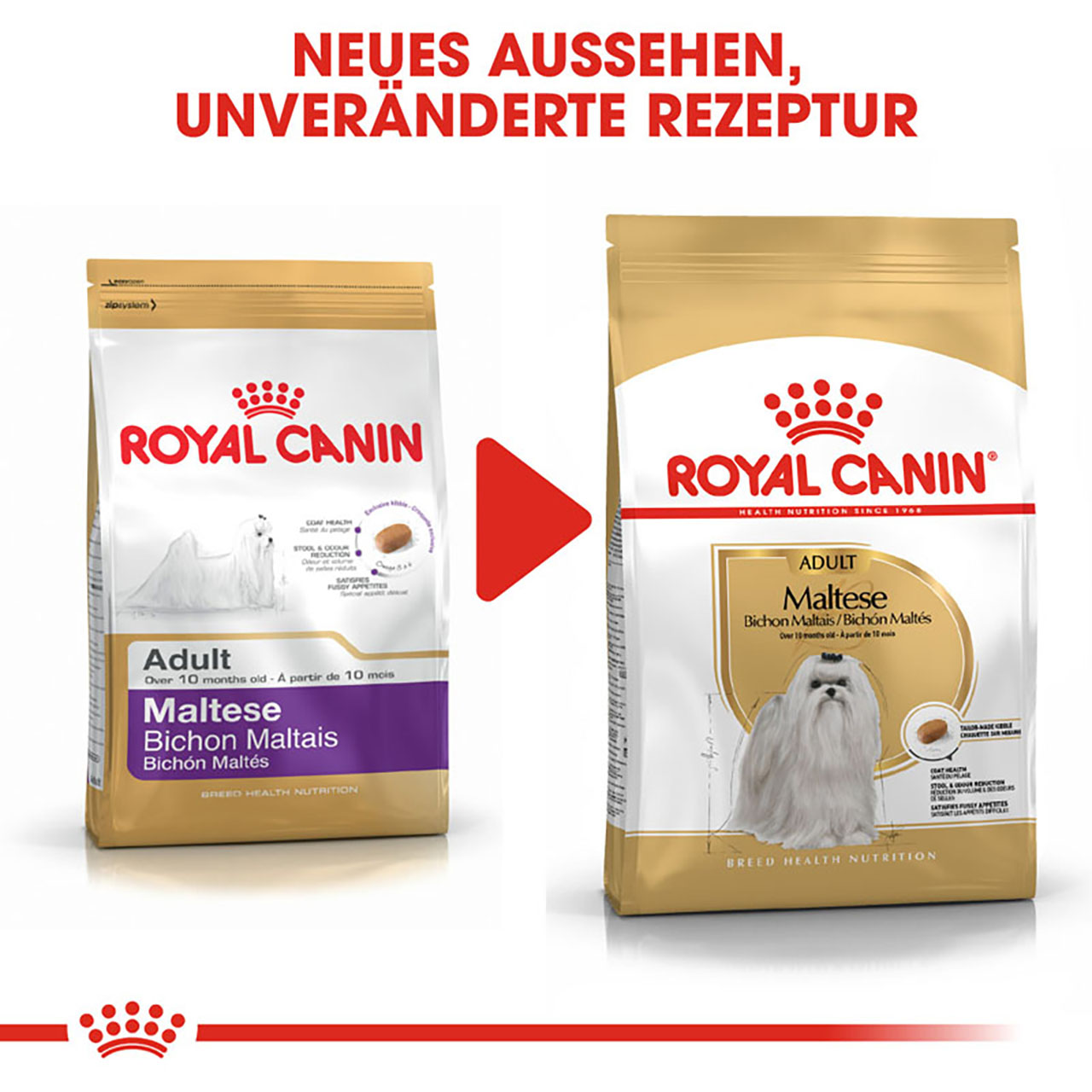 Royal Canin - BHN Maltese Adult - 5