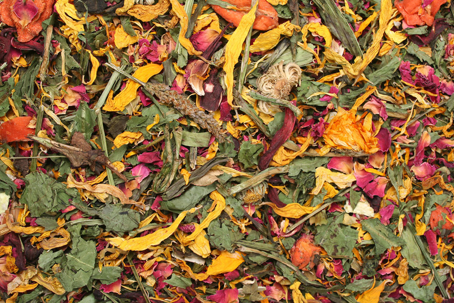 JR Farm - Sommerfeld - 1 x 100 g - 2