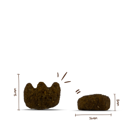 Bosch Sanabelle - Dental - 2