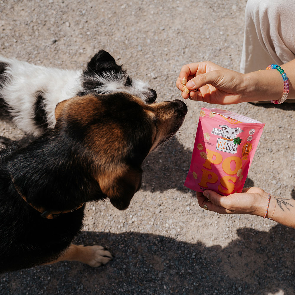 Vegdog - POPS - 10 x 20g - 4
