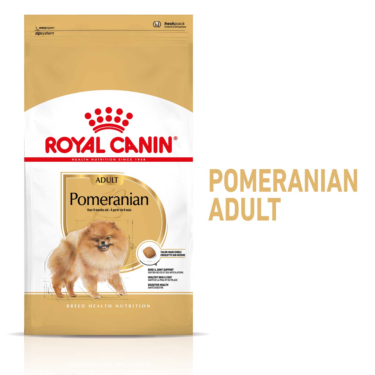 BHN Pomeranian