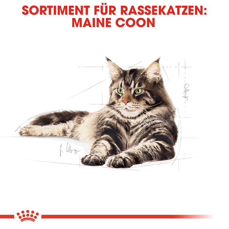Royal Canin - FBN Maine Coon Adult - 1 x 2kg - 2