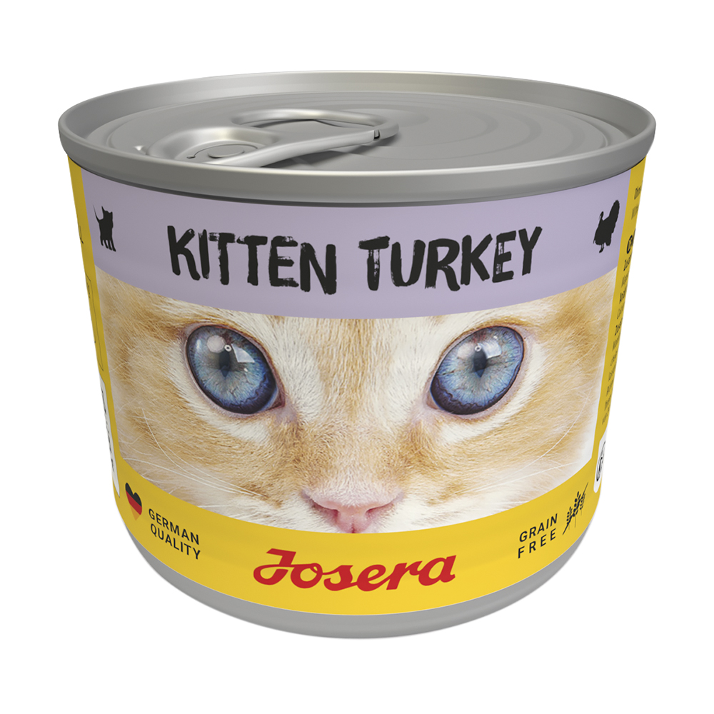 Kitten Turkey