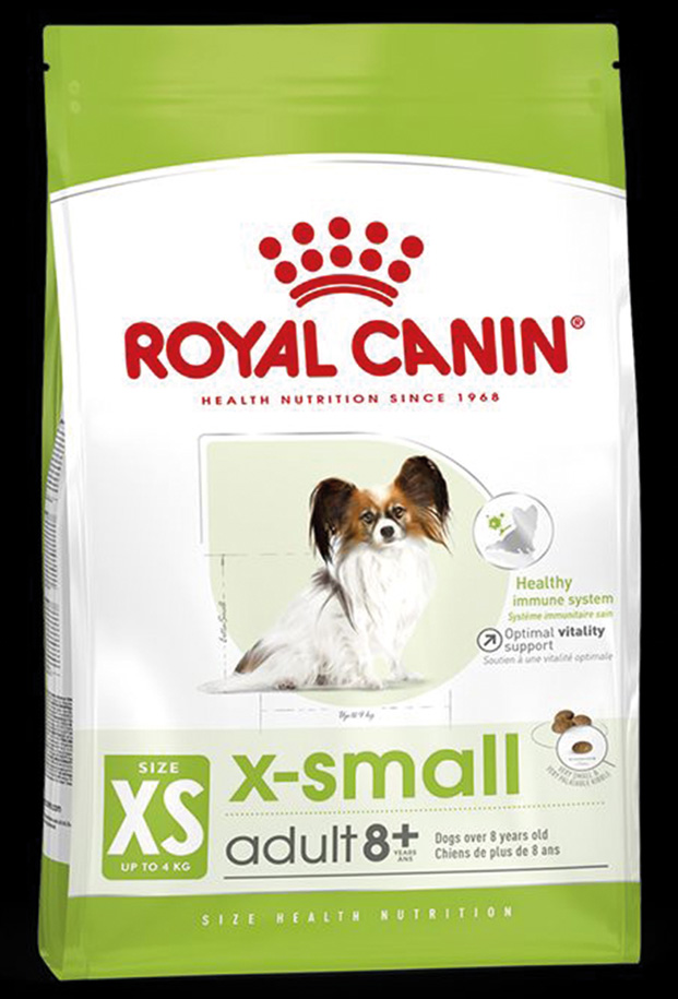 SHN X-Small Adult 8+