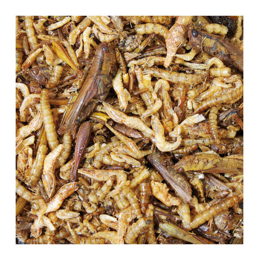 JR Farm - Eiweiß-Cocktail - 12 x 10 g - 2