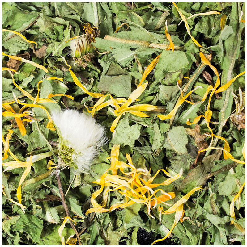 JR Farm - Löwenzahn - 6 x 100 g - 2