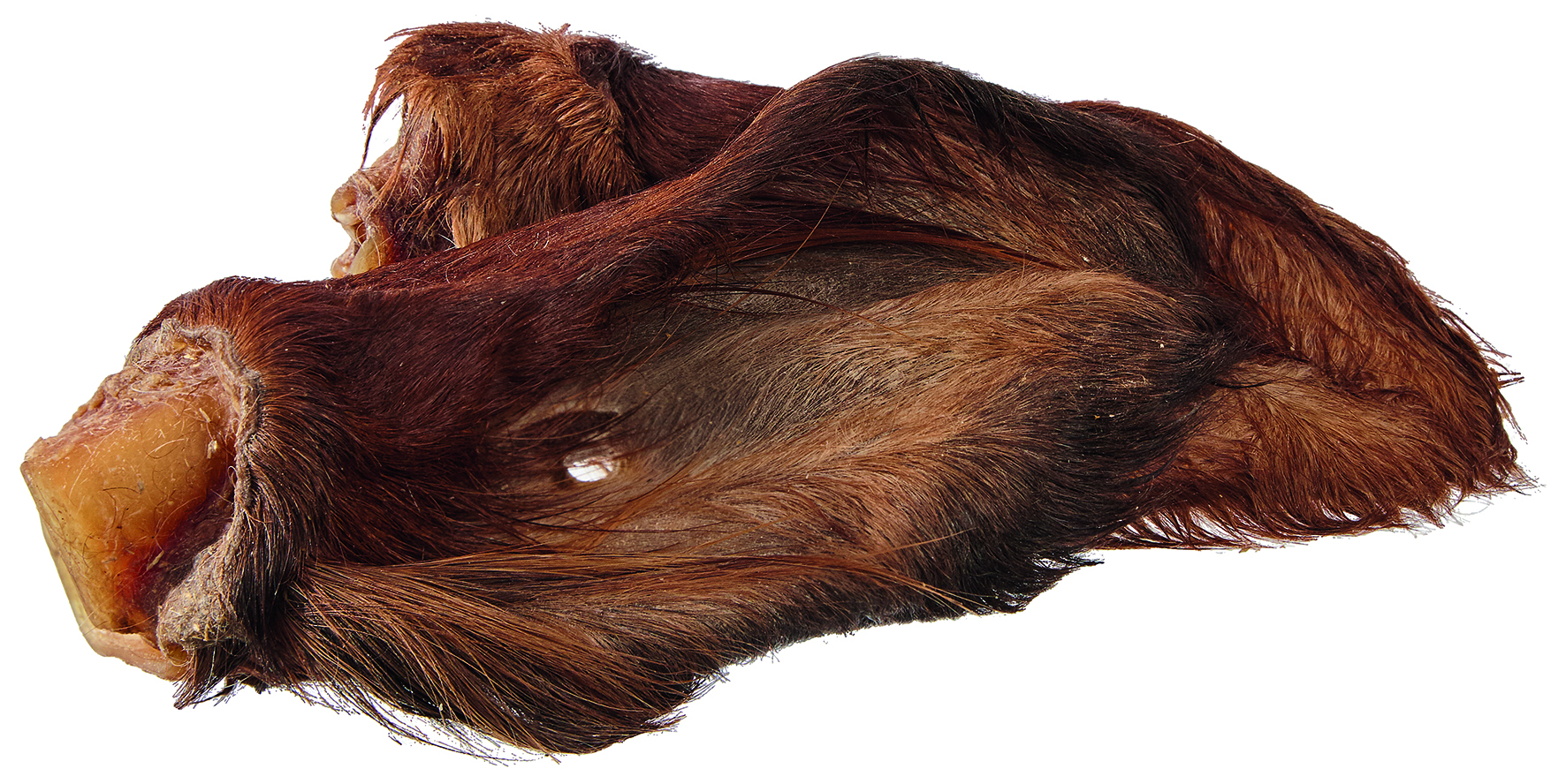 Primox - Rinderohren mit Fell 120g - 1 x 0.12 kg - 2