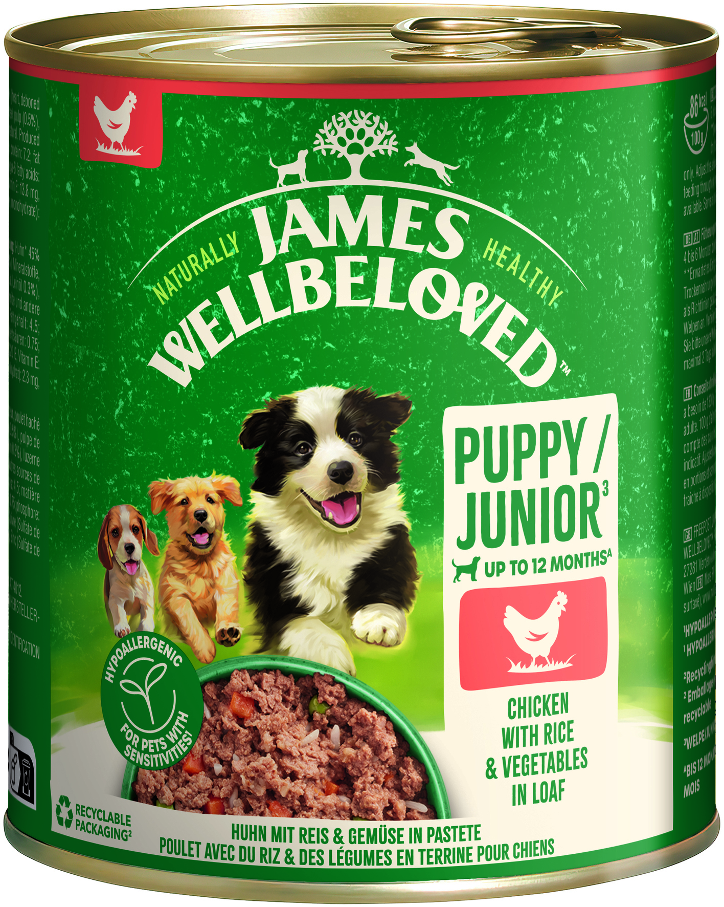 Junior Huhn mit Reis & Gemüse in Pastete